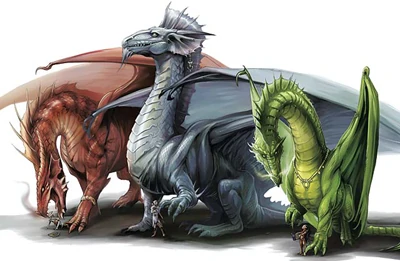 Dragons_-_Eva_Widermann 2.webp